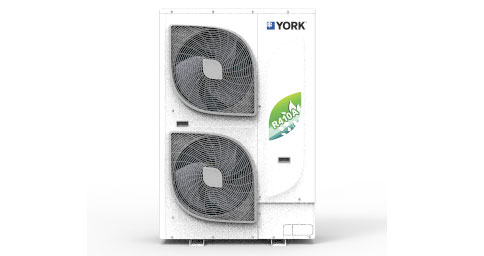 約克中央深夜福利网址